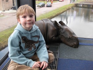 Wm and baby rhino