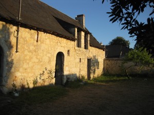 IMG_6243